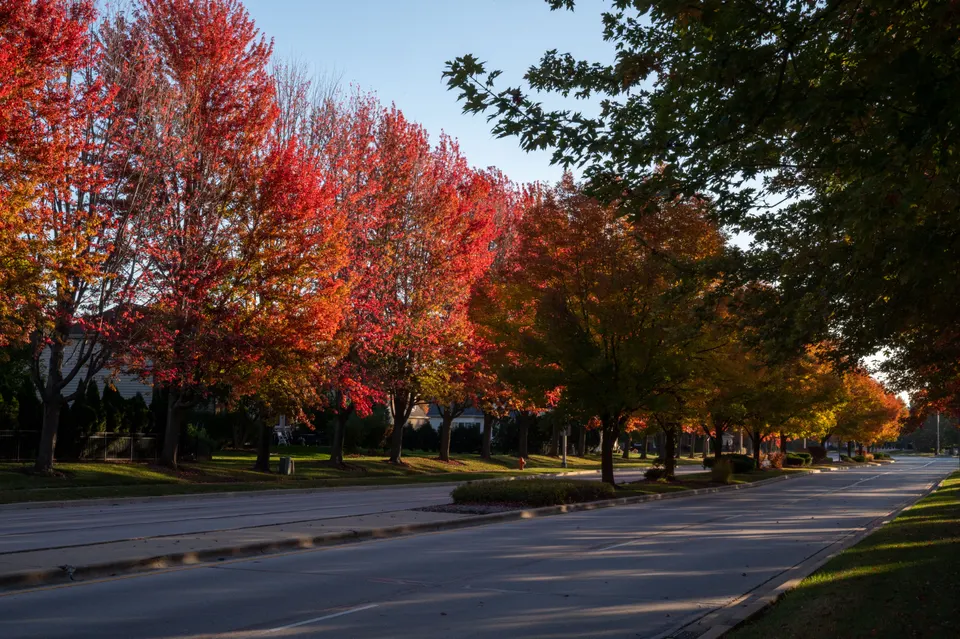 towing service Robbinsdale